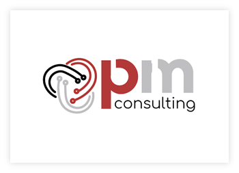logo - pm consulting